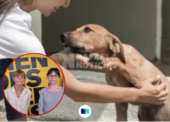 Reclaman el cumplimiento de la ordenanza que crea el registro de hogares de tránsito y exime de la Tasa General de Inmuebles