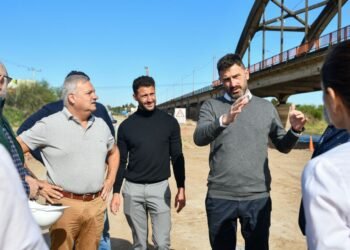 Nuevo puente Santa Fe -Santo Tomé: Provincia salvará más de 600 lapachos