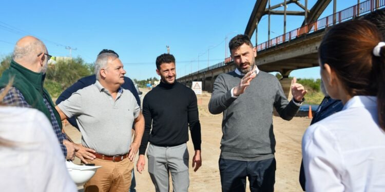 Nuevo puente Santa Fe -Santo Tomé: Provincia salvará más de 600 lapachos
