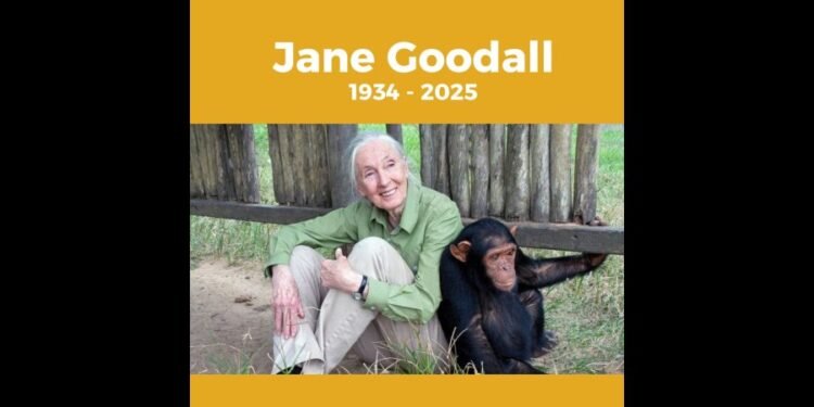 Adiós a Jane Goodall: su legado inspira acción en Rafaela y zona