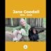 Adiós a Jane Goodall: su legado inspira acción en Rafaela y zona