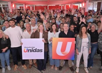 El Socialismo llamó a votar a Provincias Unidas