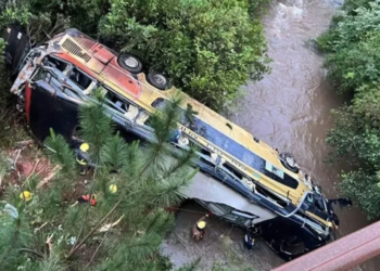 Nueve muertos en Misiones al chocar un micro y un automóvil