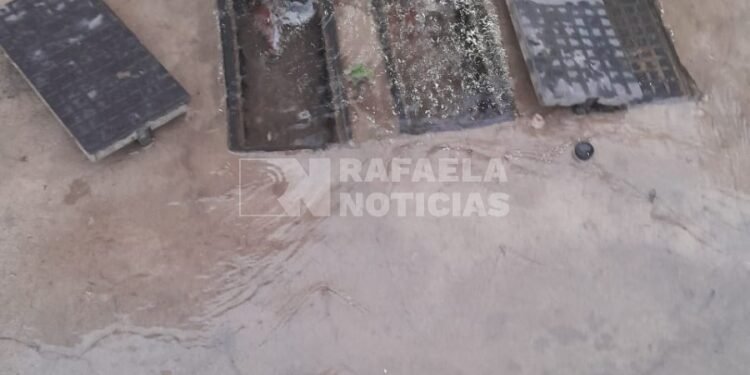 Vecinos de barrio Italia denuncian robo de medidores y pérdida de agua en la vía pública