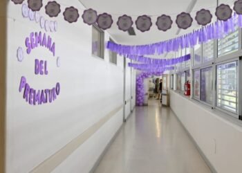 Con eje en el control del embarazo y en la regionalización de las Maternidades, Provincia conmemora la Semana de la Prematurez