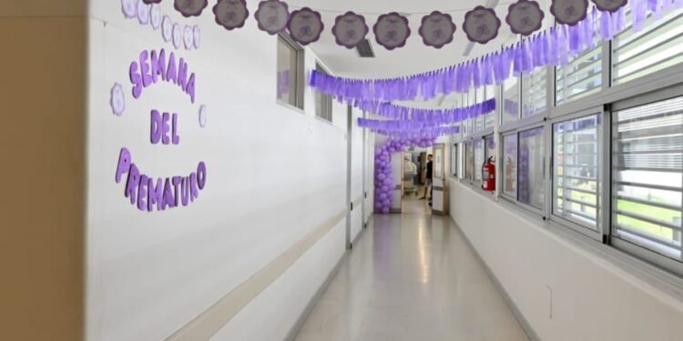 Con eje en el control del embarazo y en la regionalización de las Maternidades, Provincia conmemora la Semana de la Prematurez
