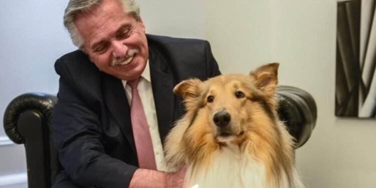 Falleció Dylan, el perro que acompañó a Alberto Fernández durante su presidencia