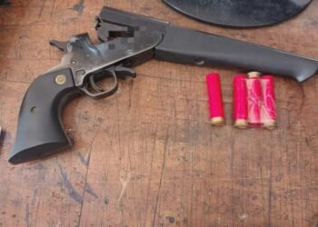 La Policía incautó 44 armas y secuestró 259 vehículos en el mes de octubre en el departamento La Capital