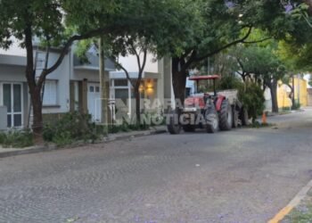 Se realizan trabajos de poda en el barrio 30 de Octubre