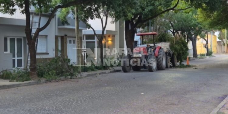 Se realizan trabajos de poda en el barrio 30 de Octubre