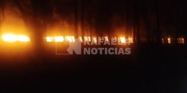 Llamas en el campo: el fuego arrasó cultivos de un campo de Roca