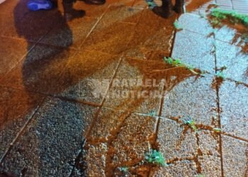 El “hombre araña” que llegó tarde a Halloween: de techo en techo robando en barrio 9 de Julio, terminó detenido