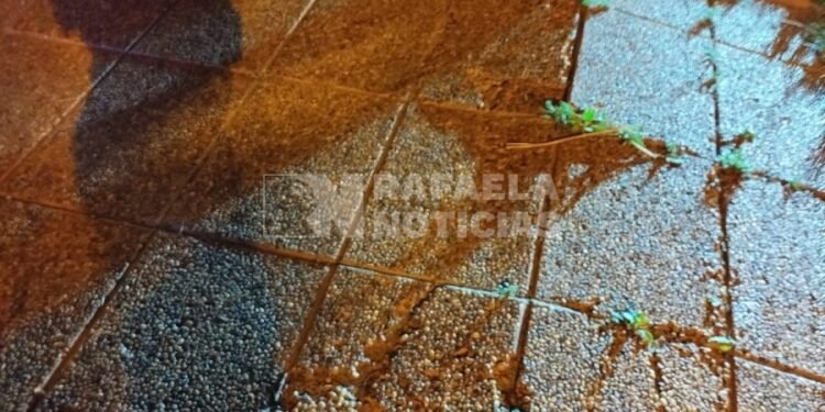 El “hombre araña” que llegó tarde a Halloween: de techo en techo robando en barrio 9 de Julio, terminó detenido