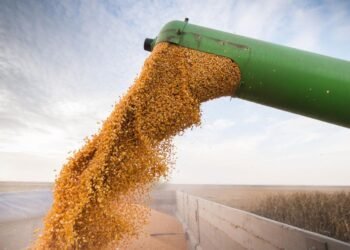 La Sociedad Rural de Santa Fe valoró la baja de retenciones pero advirtió que aún “son un impuesto injusto”