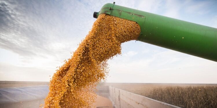 La Sociedad Rural de Santa Fe valoró la baja de retenciones pero advirtió que aún “son un impuesto injusto”