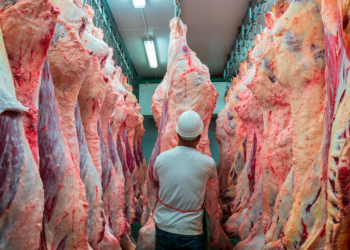 Carne en Santa Fe: frigoríficos estiman que los precios tocaron su límite y evalúan una baja en enero