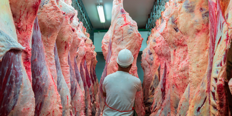 Carne en Santa Fe: frigoríficos estiman que los precios tocaron su límite y evalúan una baja en enero