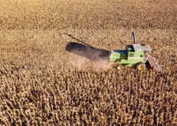 Ruralistas buscan endurecer penas y tipificar “vandalismo rural” en el Código Penal