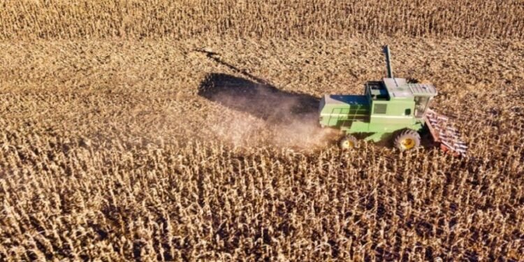 Ruralistas buscan endurecer penas y tipificar “vandalismo rural” en el Código Penal