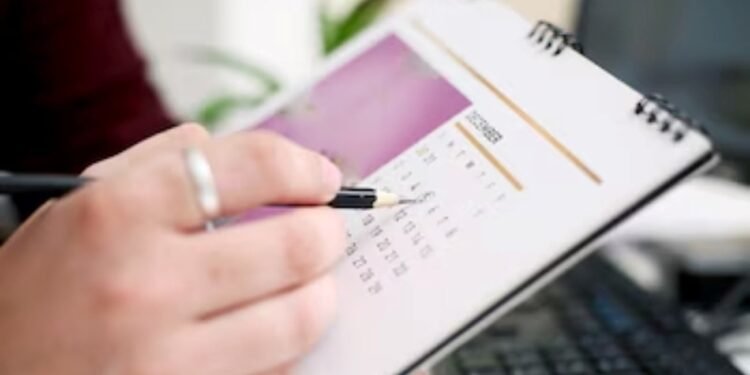 Para las fiestas El Gobierno otorgó asueto para el 24 y 31 de diciembre: a quiénes alcanza la medida