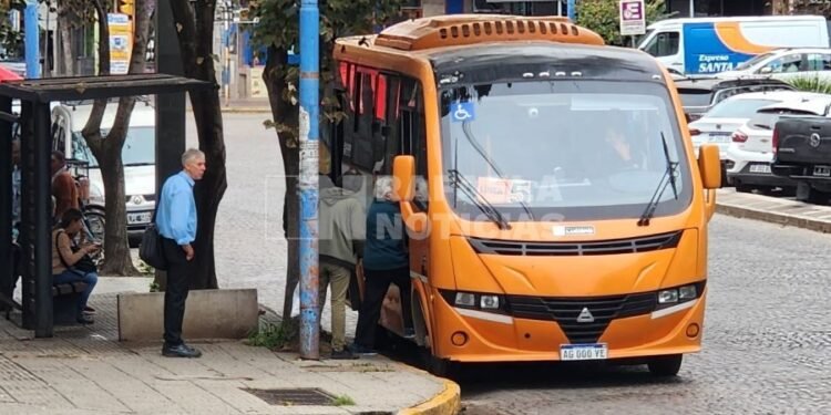 El Municipio comprará dos minibuses y ampliará líneas al hospital