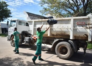 Residuos de patio: barrios del sector 1 deben sacar sus bolsas este lunes