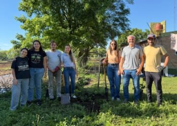 Instituciones sustentables: plantación de especies nativas