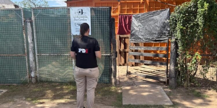 Rafaela: PDI detuvo a un hombre por hurto y desobediencia a la autoridad