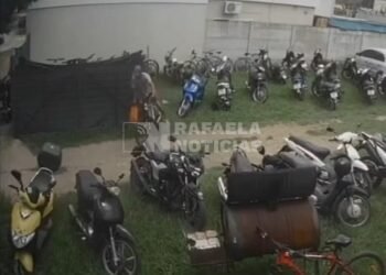 Tranquilo y sin apuros: captado robando en barrio Ilolay