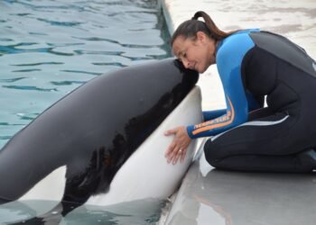 Cautiverio, silencio y muerte: organizaciones exigen esclarecer qué pasó con Kshamenk