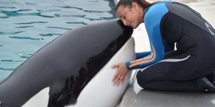 Cautiverio, silencio y muerte: organizaciones exigen esclarecer qué pasó con Kshamenk