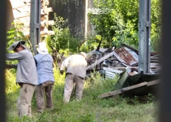 Comienza a tomar forma la recuperación de los ex Almacenes Ripamonti