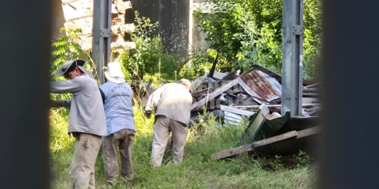 Comienza a tomar forma la recuperación de los ex Almacenes Ripamonti