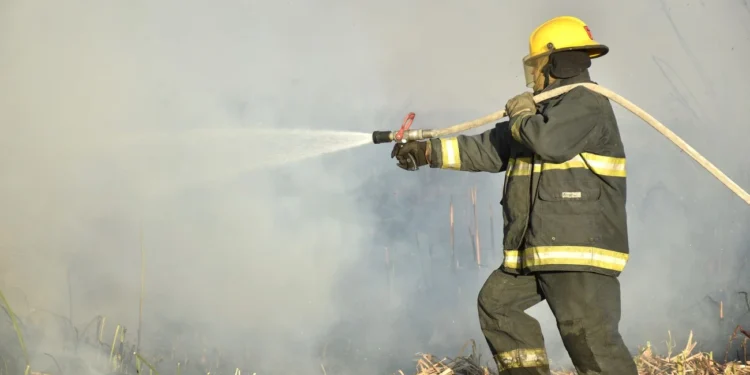Capacitación y equipamiento La mayoría se producen por acción humana: ¿Cómo se prepara Santa Fe ante posibles incendios?