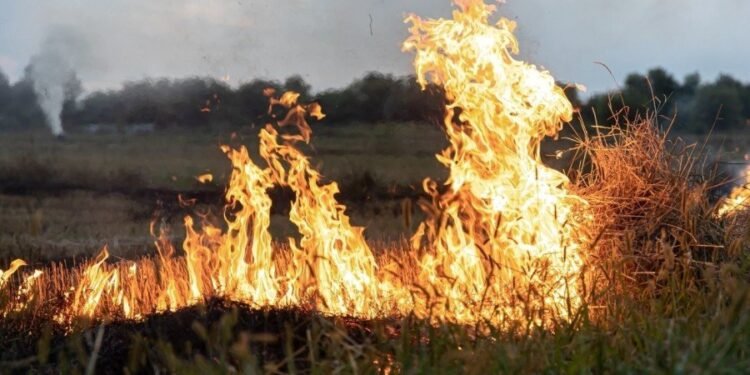 Recomendaciones para prevenir incendios