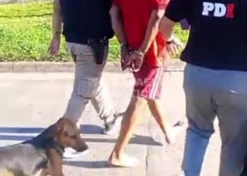 Robo en Navidad: cómo fue la detención del sospechoso y qué elementos se secuestraron