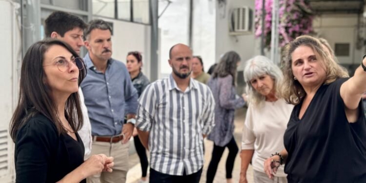 Salud: la primera etapa de la refacción de la Guardia del Hospital Provincial alcanza un 80 % de avance