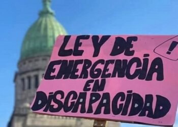 El Gobierno reglamentó la Ley de Emergencia en Discapacidad tras un fallo judicial