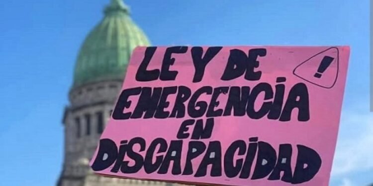 El Gobierno reglamentó la Ley de Emergencia en Discapacidad tras un fallo judicial