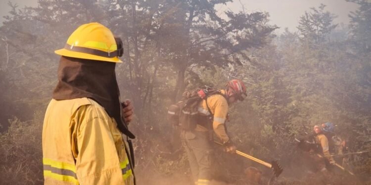 Brigadistas santafesinos combaten los incendios forestales en Chubut