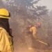 Brigadistas santafesinos combaten los incendios forestales en Chubut