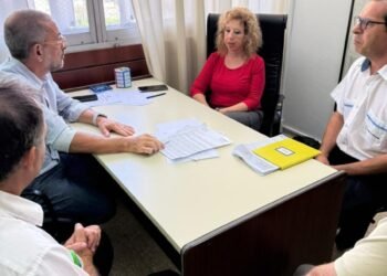 Más práctica y mayor alcance: proyectan una renovación integral para «Mi primera licencia»