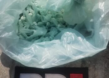 Frontera: PDI detuvo a cinco hombres tras requisa por hurto y microtráfico