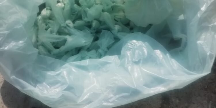 Frontera: PDI detuvo a cinco hombres tras requisa por hurto y microtráfico