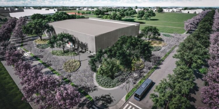 Tala de eucaliptos en avenida 500 Millas: el Municipio anunció un plan de forestación