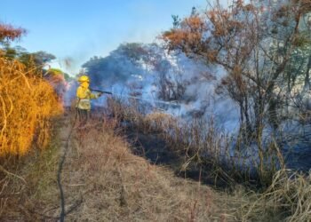 Llamas en el campo: Intenso operativo para frenar un incendio que amenazaba sembrados al norte de la ciudad