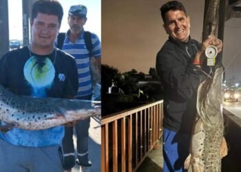 Puente Carretero de Santa Fe: varios pescadores van en busca del surubí, pero advierten que está prohibido