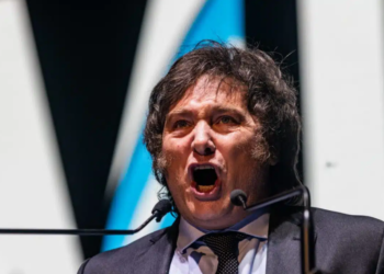 Milei reconoció que algunos sectores de la economía argentina «podrían desaparecer»