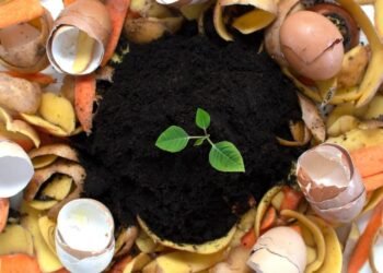 Seminario online sobre gestión de residuos orgánicos