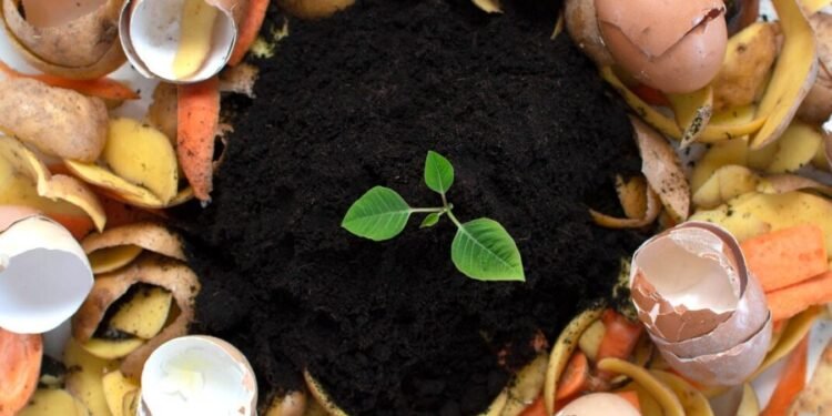 Seminario online sobre gestión de residuos orgánicos